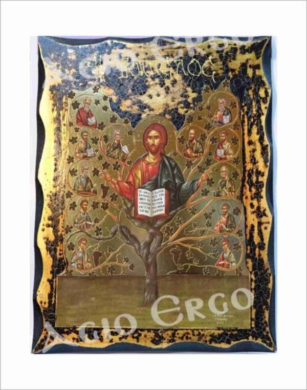 Jesus, the True Vine