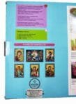 Jesus the Good Shepherd of a Mosaic kit